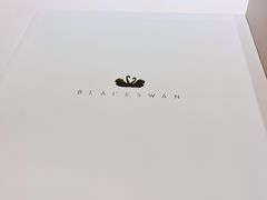 -BLACKSWAN黑天鹅(环球店)