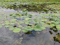 -南北湖风景区