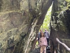 -石台牯牛降景区