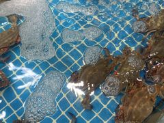 -和源祥·日照菜扛把子(万平口一店)