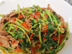 -壹盏灯(惠农店)