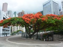 -香港大学