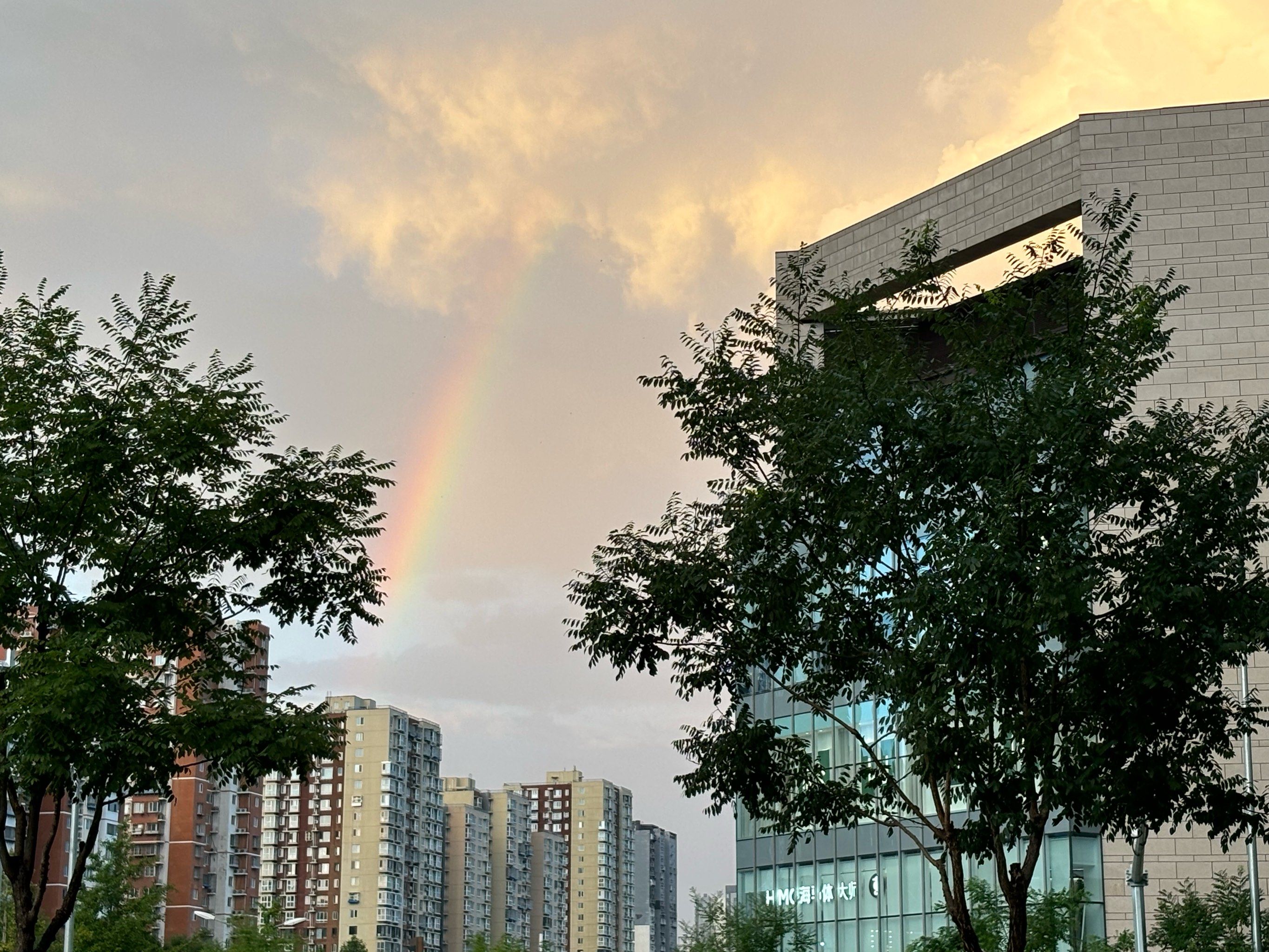 七夕当天的彩虹