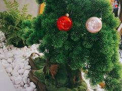 -如轩·海鲜砂锅粥·潮汕菜(南城店)