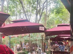 -园林美食城·本土农家菜(杨和镇店)