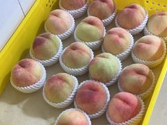 -老袁家蜜桃农场·阳山水蜜桃