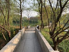 -中国湿地博物馆