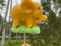 -秦皇岛野生动物园