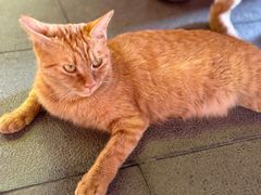 -方壇 La Fonte(玉佛寺店)