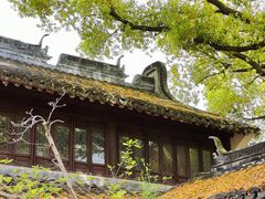 -上海醉白池公园