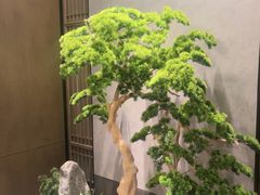 -百富源·海鲜辽菜(和平北大街店)