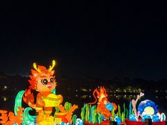 -美的鹭湖森林度假区