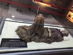 -巴音郭楞蒙古自治州博物馆