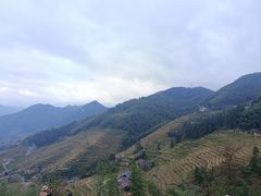 -紫鹊界梯田景区