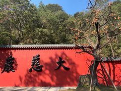 -大慈岩风景区