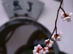 -无锡梅园公园