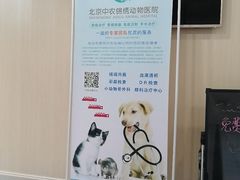 -喜多萌中农锦绣动物医院24H·猫科·牙科MRI·CT