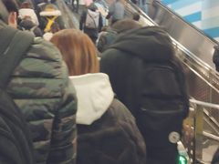 -大望路(地铁站)