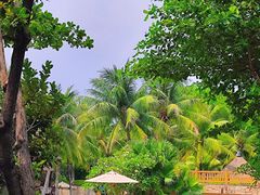 -海南清水湾莱佛士酒店