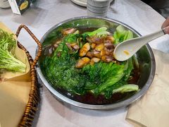 -芭厘农庄老字号·清远鸡