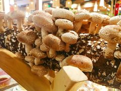 -椰夫人·养生椰子鸡(金沙洲永旺店)