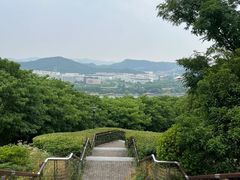 -羊山湖公园