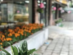 -贝贝宠物乐园(常青花园店)