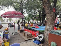 -大鹅岛绿色生态美食园