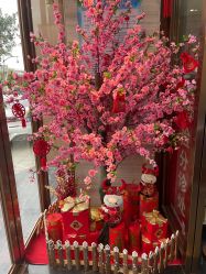 -比华利美容医院