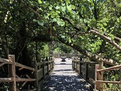 -海南文笔峰盘古文化旅游区