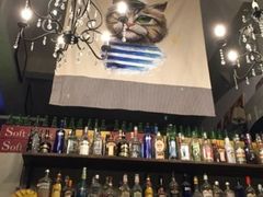 -猫咪博物馆(顶澳仔猫街店)