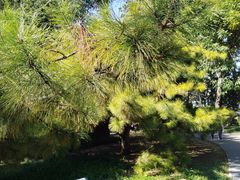 -元大都城垣遗址公园