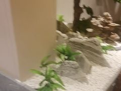 -二分八云雁阁•新晋菜大同味(长治路店)