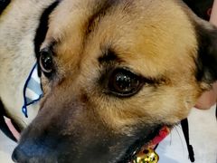 -远洋未来广场(育慧北路店)