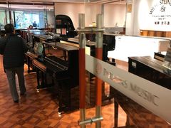 -柏斯音乐艺术中心·钢琴·吉他(上音店)