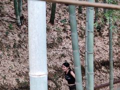 -藏龙百瀑风景区