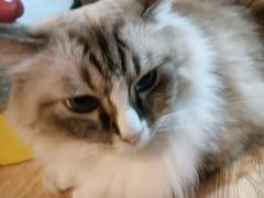 -白兔子密室(长寿路店)