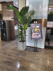 -崇尚GAVIN STYLE臻选