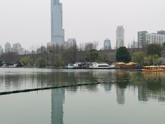-紫峰大厦