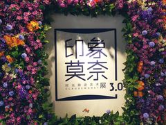 -印象莫奈时光映迹艺术展
