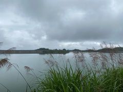 -长沙黑麋峰国家森林公园