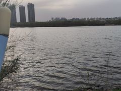 -长白岛森林公园