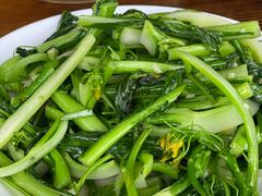 菜心-英姐农家乐