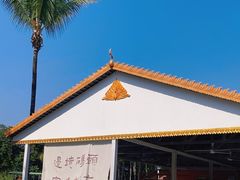 -西双版纳傣族园