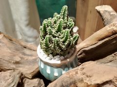 -邈墨茶馆(凤起路店)