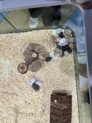 -meland亲子乐园•派对•研学(苏州悠方购物中心店)