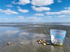 -启东黄金海滩景区