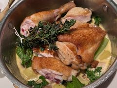 -蝶舍·MAISON PAPILLON