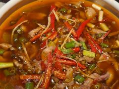 -天辣(金桥啦啦宝都店)