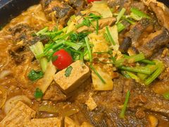 -老板恋上鱼(高新万达店)